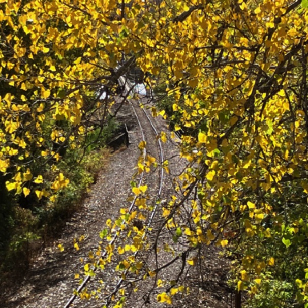 Nr. Mississippi River (Oct)